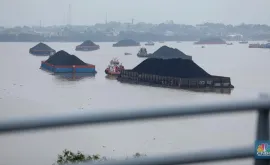 Berita Sah Harga Batu Bara Acuan HBA RI Agustus 2024 Kompak Turun